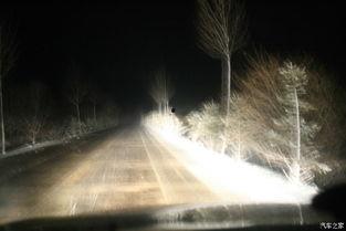 藏于昼夜,探寻生命轮回的奥秘