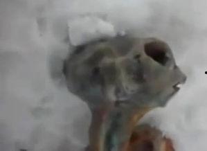 天外世界：外星人星球